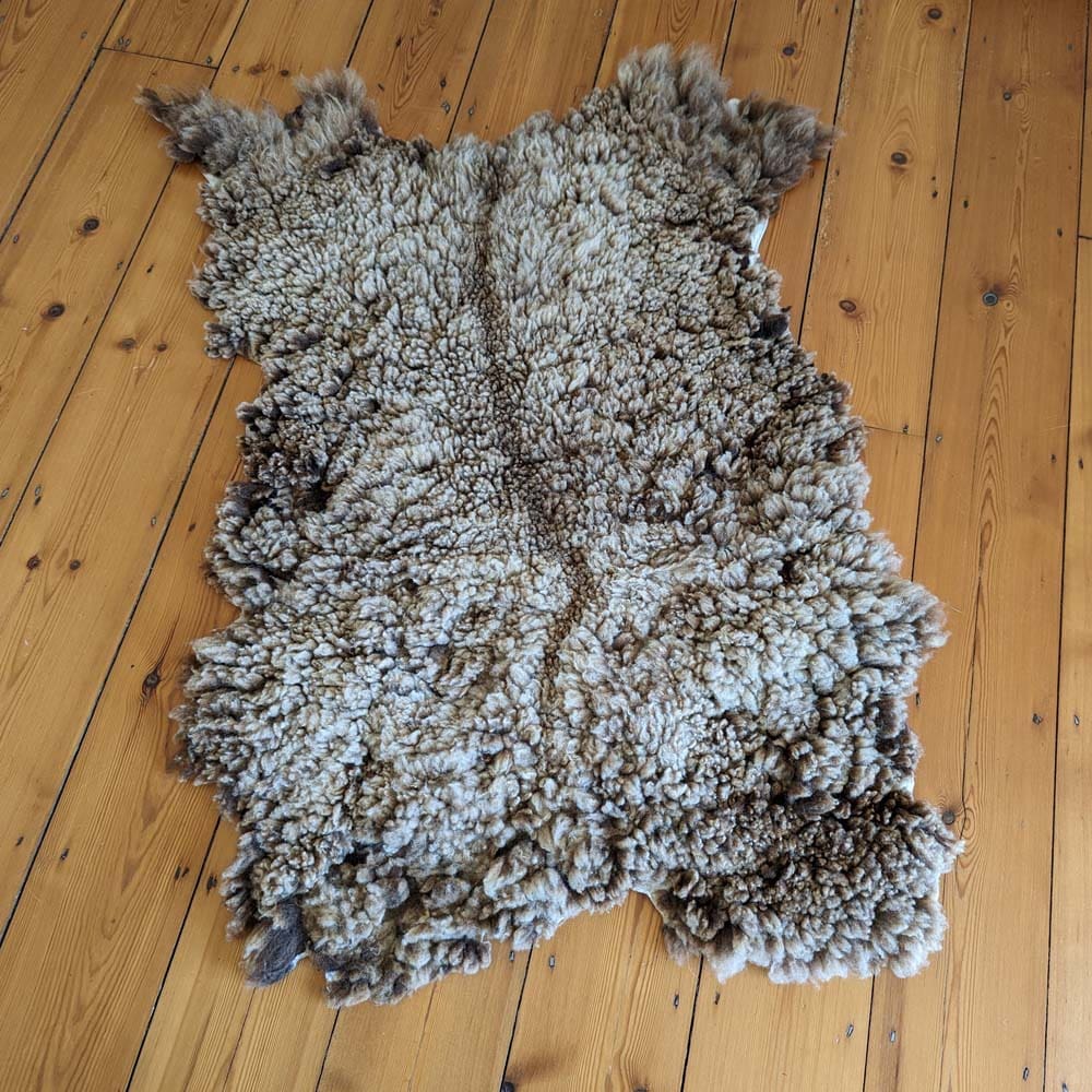 Shetland Moorit Felted Fleece
