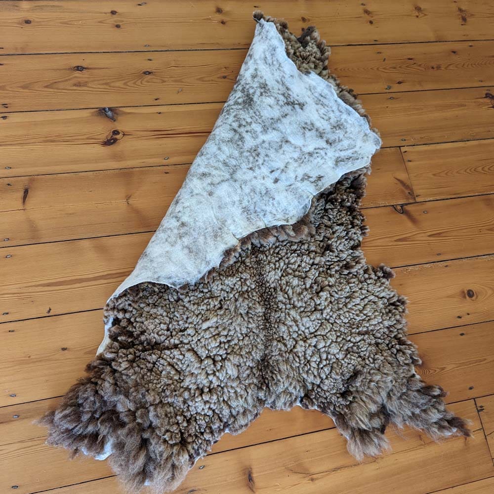 Shetland Moorit Felted Fleece - Image 4